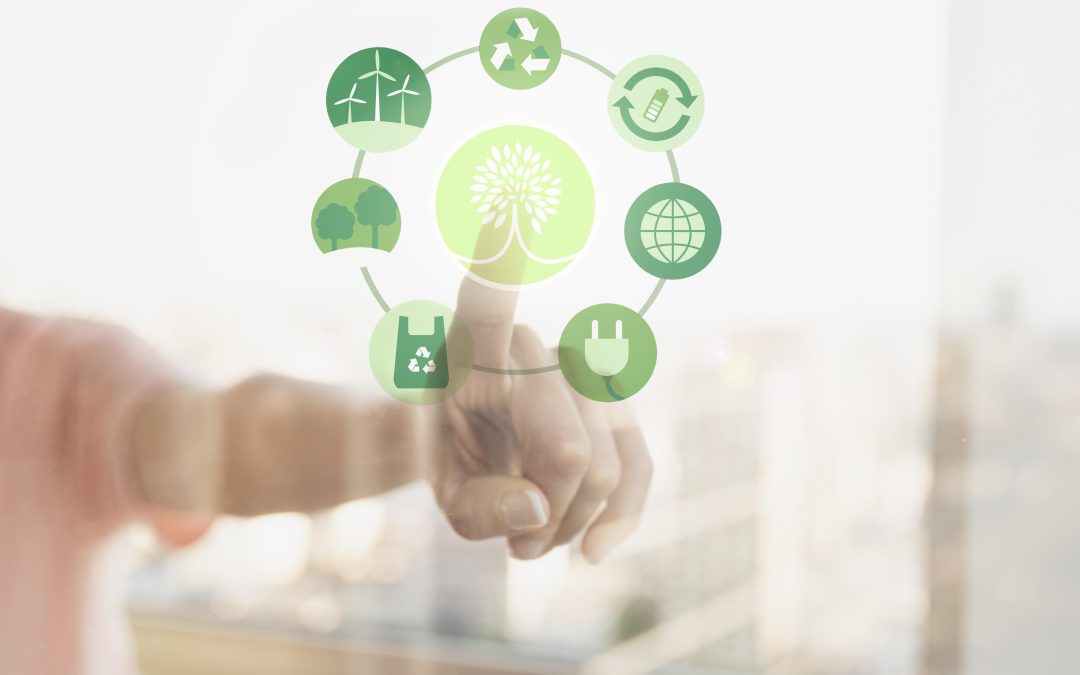 ¿Cuál es la forma más rentable de ser más sustentable?